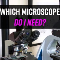 Got Microscope Questions? GET ANSWERS!!