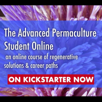 How Are We Going To Restore our World?