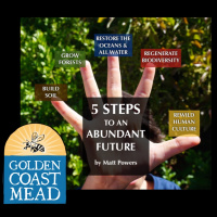 Episode 63 The 5 Steps To An Abundant Future LIVE At Golden Coast Mead