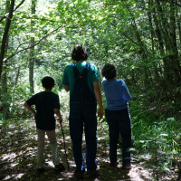 Episode 40 Elaine Ingham Talks The Nitrogen Cycle, Working on PS2, F\B Ratios,  More!