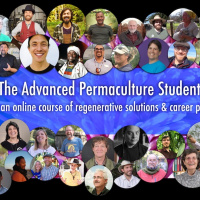 Episode 84 Exclusive Selections from The Advanced Permaculture Student Online