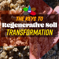 Ep 173 | The Keys To Regenerative Soil Transformation FULL WEBINAR