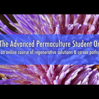 The Advanced Permaculture Student Online is LIVE on Kickstarter!!