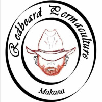 Episode 19 Ed Gaybba of Redbeard Permaculture in South Africa