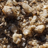 Are Poor Soils Holding You Back?