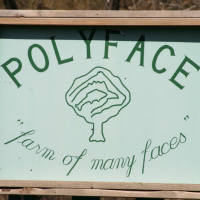 Episode 39 Joel Salatin - his New Book, the Future, Running For President, Politics,  Obstacles