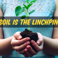 Soil Is The Lynchpin