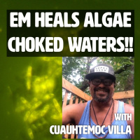 Ep. 164 | EM, Bioceramics,  Regenerative Farming with Cuauhtemoc Villa