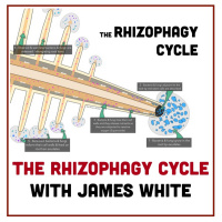 EPISODE 132: The Rhizophagy Cycle with James White | A Regenerative Future with Matt Powers