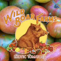 Episode 61 Brad Gates Creator Of 60 New Tomato Varieties In 20 Years