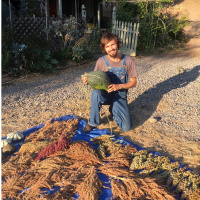 Episode 70 How To Have An Amazing Garden And A 9 - 5 Job Plus A Family Life