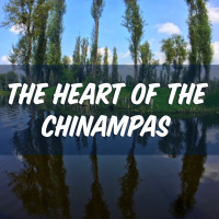 The Heart of the Chinampas - the Song by Matt Powers FREE DOWNLOAD