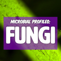 Microbial Profiles: FUNGI pt 1 with Matt Powers | Regenerative Soil Microscopy