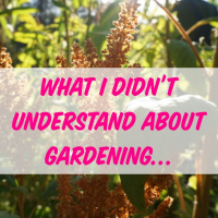 Episode 119 | What I Didnt Understand About Gardening - Matt Powers