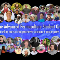 What is Pattern Literacy? with Matt Powers - a preview for The Advanced Permaculture Student Online