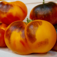 Episode 71 Reading The Last Chapter Of The Permaculture Student 2 - Get It Free!