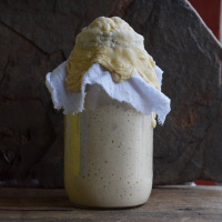 Episode 59 Pascal Baudar The Foraging Alchemist