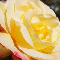 How to make Lasting Change with Matt Powers