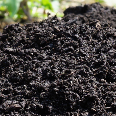 An Abundant Future With Matt Powers