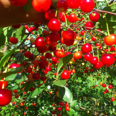 An Abundant Future With Matt Powers