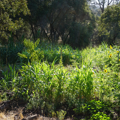 An Abundant Future With Matt Powers