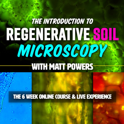 An Abundant Future With Matt Powers