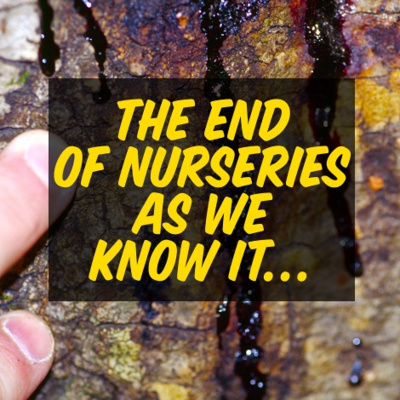 An Abundant Future With Matt Powers