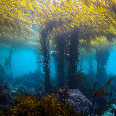 An Abundant Future With Matt Powers