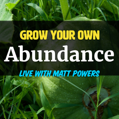 An Abundant Future With Matt Powers