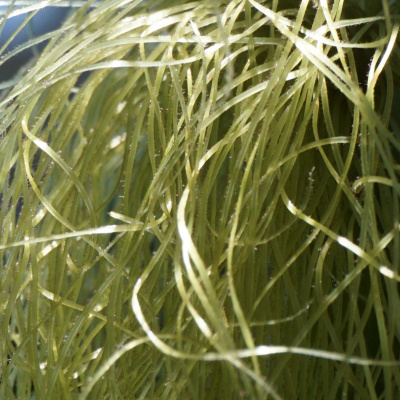 An Abundant Future With Matt Powers