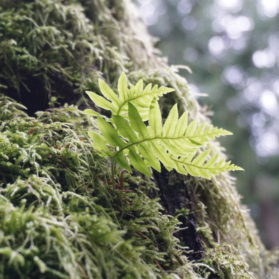 An Abundant Future With Matt Powers