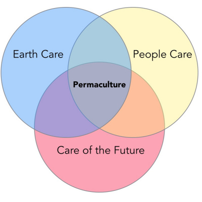 An Abundant Future With Matt Powers