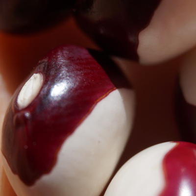 An Abundant Future With Matt Powers