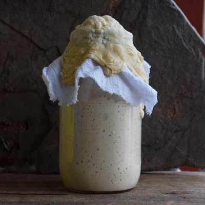 An Abundant Future With Matt Powers