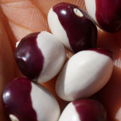 An Abundant Future With Matt Powers