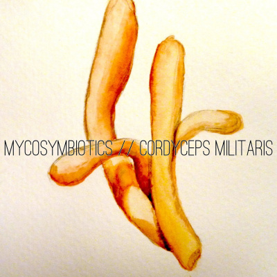 An Abundant Future With Matt Powers