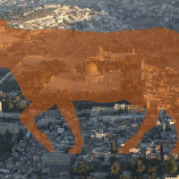 Parsha Talk Tzav 2024 5784