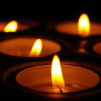 Parsha Talk Noach 5784 2023