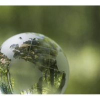 Business and Sustainability