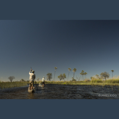 Into The Okavango