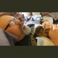 Episode 298 - Self-Isolating Lambs