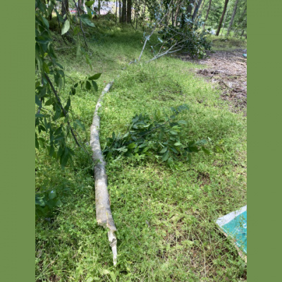 Kevin And Ursula Eat Cheap