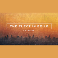 God’s Patience in His Prophetic Plan 2 Peter 3:8-9