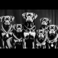 QuickCast: One of Paints Best Classes is Signed