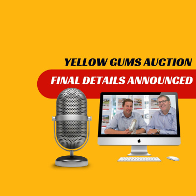 Ocean Grove Property News - 3 Minute real Estate News Vignettes