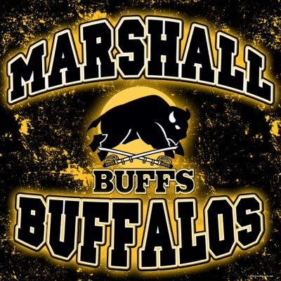 Fbisd Marshall High School