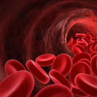 Prevenção de TEV e o papel do anestesiologista