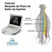 Bloqueio do plano do eretor da espinha