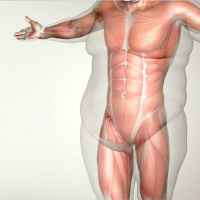 ERAS em cirurgia bariátrica