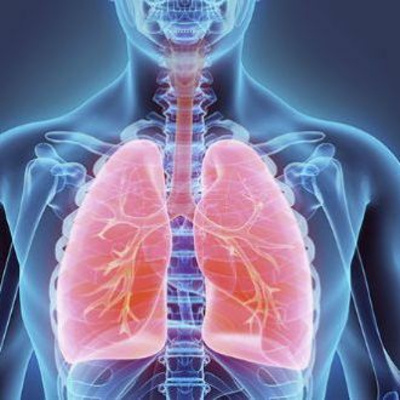 Pablo Braga Gusmans Podcast